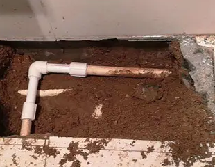 中卫市测漏水哪家好