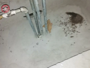 中卫市卫生间测漏水价格明细